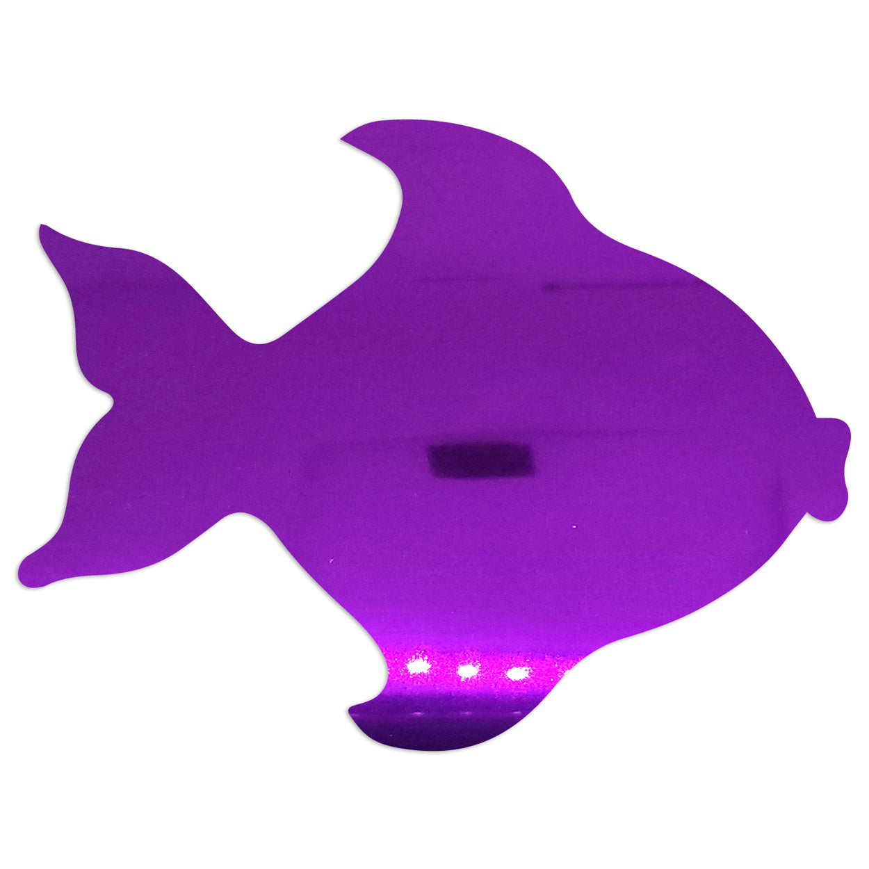 Custom-Bigs 2" & 5" - FISH: ANGEL FISH Purple