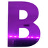 Custom-Bigs 2" & 5" - LETTER B Purple