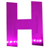 Custom-Bigs 2" & 5" - LETTER H Fuchsia