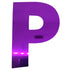 Custom-Bigs 2" & 5" - LETTER P Purple