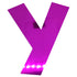 Custom-Bigs 2" & 5" - LETTER Y Fuchsia