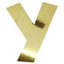 Custom-Bigs 2" & 5" - LETTER Y Gold