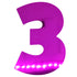 Custom-Bigs 2" & 5" - NUMBER 3 Fuchsia