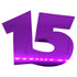 Custom-Bigs 2" & 5" - NUMBER 15 Purple