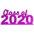 Custom-Bigs 2" & 5" - CLASS OF 2020 Fuchsia