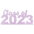 Custom-Bigs 2" & 5" - CLASS OF 2023 Pink