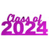 Custom-Bigs 2" & 5" - CLASS OF 2024 Fuchsia