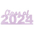 Custom-Bigs 2" & 5" - CLASS OF 2024 Pink