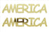 Custom-Buzz Word - AMERICA Gold