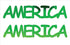 Custom-Buzz Word - AMERICA Green