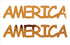 Custom-Buzz Word - AMERICA Orange