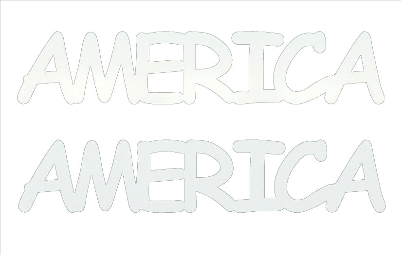 Custom-Buzz Word - AMERICA White