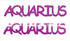 Custom-Buzz Word - AQUARIUS Fuchsia