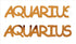 Custom-Buzz Word - AQUARIUS Orange