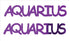 Custom-Buzz Word - AQUARIUS Purple