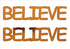 Custom-Buzz Word - BELIEVE Orange