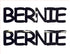 Custom-Buzz Word - BERNIE Black