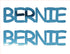 Custom-Buzz Word - BERNIE Blue Sky