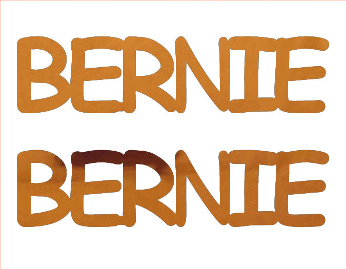 Custom-Buzz Word - BERNIE Orange