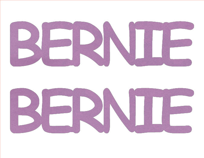 Custom-Buzz Word - BERNIE Pink