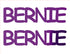 Custom-Buzz Word - BERNIE Purple