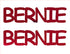 Custom-Buzz Word - BERNIE Red