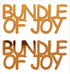 Custom-Buzz Word - BUNDLE OF JOY Orange