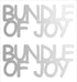 Custom-Buzz Word - BUNDLE OF JOY Silver