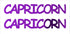 Custom-Buzz Word - CAPRICORN Purple