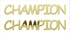 Custom-Buzz Word - CHAMPION Gold