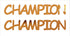 Custom-Buzz Word - CHAMPION Orange