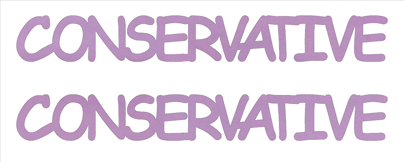 Custom-Buzz Word - CONSERVATIVE Pink