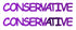 Custom-Buzz Word - CONSERVATIVE Purple