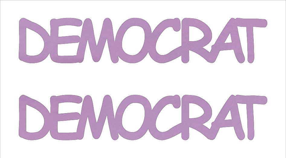 Custom-Buzz Word - DEMOCRAT Pink