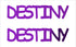 Custom-Buzz Word - DESTINY Purple