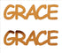 Custom-Buzz Word - GRACE Orange