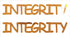 Custom-Buzz Word - INTEGRITY Orange