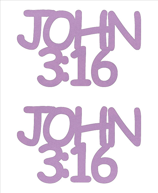 Custom-Buzz Word - JOHN 3:16 Pink