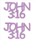 Custom-Buzz Word - JOHN 3:16 Pink