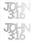 Custom-Buzz Word - JOHN 3:16 Silver