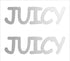 Custom-Buzz Word - JUICY Silver