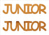 Custom-Buzz Word - JUNIOR Orange