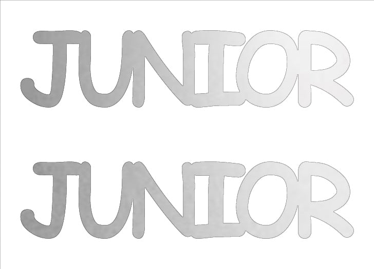 Custom-Buzz Word - JUNIOR Silver