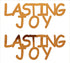 Custom-Buzz Word - LASTING JOY Orange