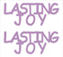 Custom-Buzz Word - LASTING JOY Pink