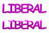 Custom-Buzz Word - LIBERAL Fuchsia