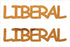 Custom-Buzz Word - LIBERAL Orange