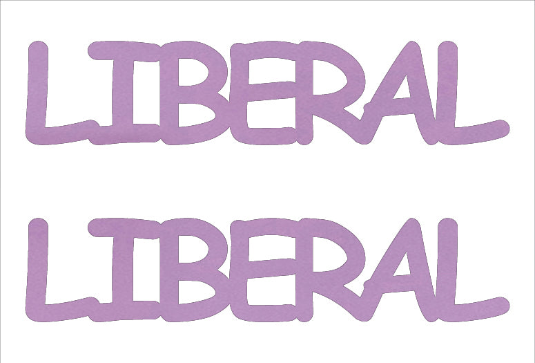 Custom-Buzz Word - LIBERAL Pink