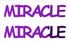 Custom-Buzz Word - MIRACLE Purple