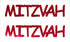 Custom-Buzz Word - MITZVAH Red